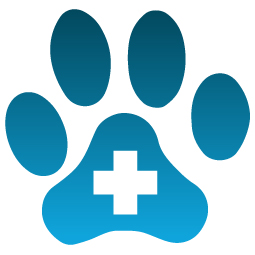 pet insurance icon