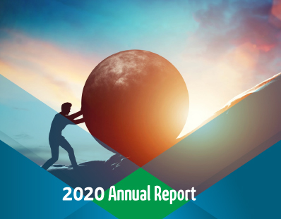 2020 Annual Report